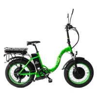 Электровелосипед Elbike Taiga 1 Twix 2000 Зеленый (2x1000w 2х48v16a)
